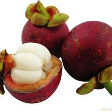 新鮮蔬菜 營(yíng)養(yǎng)、選擇與保鮮之道