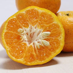 優(yōu)質(zhì)農(nóng)產(chǎn)品助力精準(zhǔn)扶貧 新鮮當(dāng)季水果與蔬菜，脆甜可口全國(guó)包郵