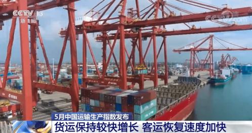 5月中國運(yùn)輸生產(chǎn)指數(shù)發(fā)布 貨運(yùn)保持較快增長，客運(yùn)恢復(fù)提速，道路貨運(yùn)彰顯韌性